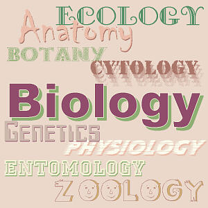 biology words