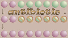 effects of antibiotics