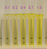 five dilutions of riboflavin, labeled
