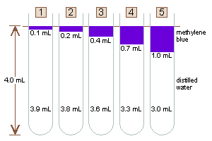Test Tube Size Chart