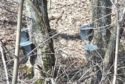 Buckets 1-4 Across the Creek