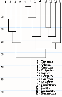 Insect Dendrogram