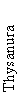 Thysanura