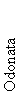Odonata