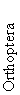 Orthoptera