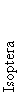 Isoptera