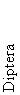 Diptera