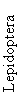 Lepidoptera