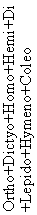 Ortho+Dictyo+Homo+Hemi+Di+Lepido+Hymeno+Coleo