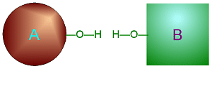 Dehydration Synthesis