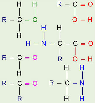 Pick a Molecule