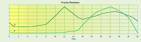 Ovarian Hormone Graph
