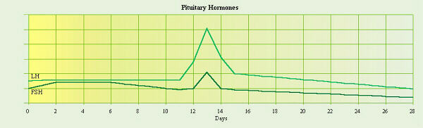 Pituitary Hormone Graph