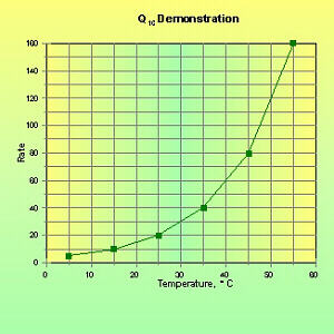 Q10 Demo