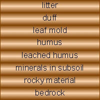 Soil Profile