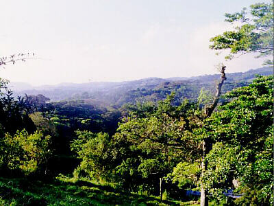 Tropical Rainforest � Monteverde, Costa Rica (DBF)