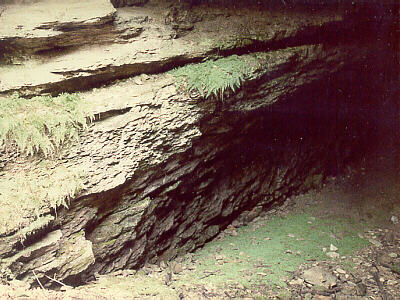 Cave Entrance (looking down) � Mammoth Cave, Ky.