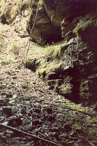 Cave Entrance (looking up) � Mammoth Cave, Ky.