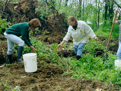 Students Rescuing Fern