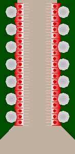 ciliary escalator