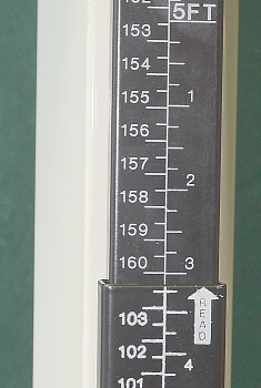 height = 160.3 cm