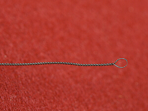 inoculating loop close-up