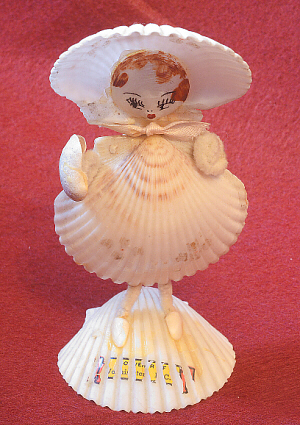 craft made of bivalve shells