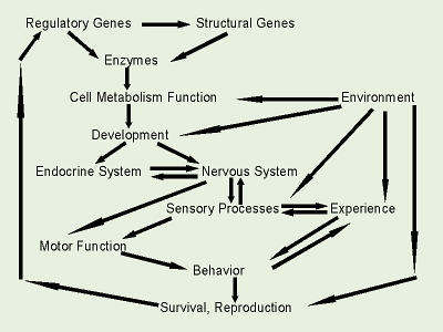 interactions involved in natural selection